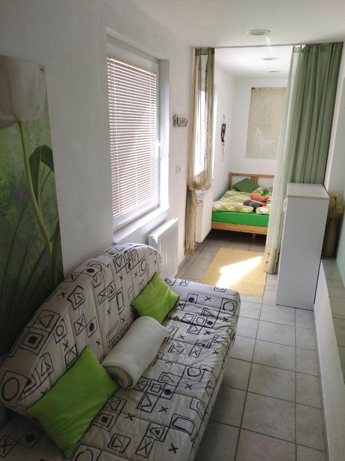 Apartma Peter1A 베구니예나고렌스켐 외부 사진